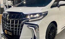 Alphard 30系日規版蒙娜麗莎套件